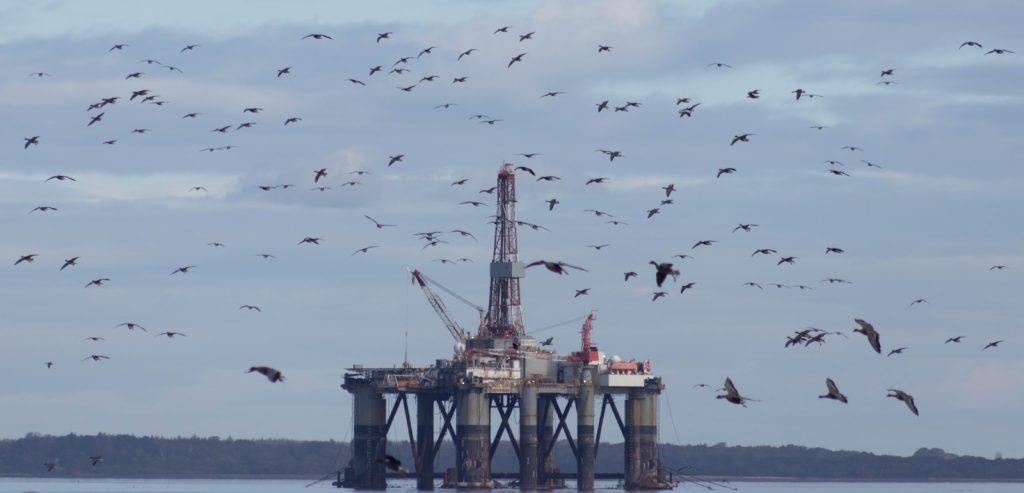Flock of birds surrounds offshore drilling rig at sea